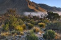 Early Morning Fog - Guadalupe Mountains