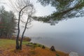 Early morning fog on a lake near Ottawa, Ontario. Royalty Free Stock Photo