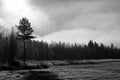 Early morning fog over field and forest Royalty Free Stock Photo