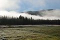 Early morning fog over field and forest Royalty Free Stock Photo