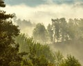 Early morning fog over the forest 1 Royalty Free Stock Photo