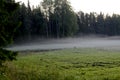 Early morning fog over summer field and green forest. Horizontal photo of beautiful nature Royalty Free Stock Photo