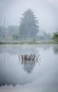 Early Morning fog at Pleasant Creek Royalty Free Stock Photo