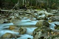 Early Morning Fog on the River Rapids & Waterfalls