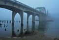 Early Morning Fog Shrouds the Siuslaw River Bridge