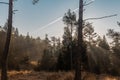 Early morning in the forest, frosty or icy meadow between the trees. Late autumn view of a cold forest. Sun just rising up and Royalty Free Stock Photo