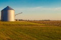 Early morning grain silo at harvest time Royalty Free Stock Photo