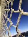 Early morning  Hoarfrost  on wire fence Royalty Free Stock Photo