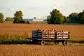 Cart of fresh picked Pumpkins in Autumn Royalty Free Stock Photo