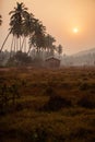 Early morning in an indian village