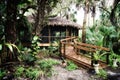 Early morning inside subtropical forest with thatched hut