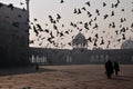 Early morning at Jama Masjid Royalty Free Stock Photo