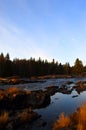 Early morning  in Koiteli rapid, Kiiminki river. Still dusky. Rising light, autumn colors, blue water, fading moon. Royalty Free Stock Photo