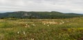 Early morning Krkonose mountains scenery from Kamenna studanka stream bellow Vysoka plan hill summit in Czech republic