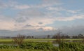 Early  morning at Lake Hula Nature Reserve with the snow-capped peak of Mount Hermon in northern Israel in the background Royalty Free Stock Photo