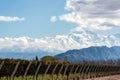 Andes mountain range, in the Argentine province of Mendoza Royalty Free Stock Photo