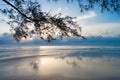 Early Morning Light on a Peaceful Beach