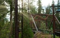 Early Morning Lightrays at Tumble Creek Bridge