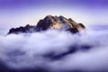 Early morning in a Low Fatra, In the middle of picture is hill and around it is a fog. Natural background with blue colour Royalty Free Stock Photo