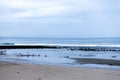 Early morning low tide tidal pools and birds Royalty Free Stock Photo