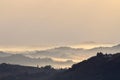 Early Morning Magical Misty Scene of Italian Countryside Royalty Free Stock Photo