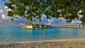 Early morning in the Maldives. The branches of the trees bent over the sandy beach. Royalty Free Stock Photo