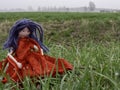 Rag doll with blue hair and a red dress in the grass with dew drops Royalty Free Stock Photo