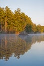 Pine Trees Reflected In Glassy Waters At Sunrise Royalty Free Stock Photo