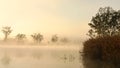 Early morning mist and fog on the Murray River near Wakerie in South Australia Royalty Free Stock Photo