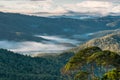 Early morning mist over tropical rainforest in Tamborine National Park Royalty Free Stock Photo