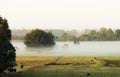 Morning mist in the pasture of the farm Royalty Free Stock Photo