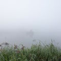 early morning mist on small lake with reeds and grass on embankment Royalty Free Stock Photo