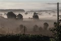 Early morning mist - United Kingdom Royalty Free Stock Photo