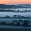 Early morning mist veils the landscape in mystical serenity