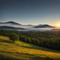 Early morning misty landscape of wild flowers and natural vegetation with the Taconic Mountains in the background in