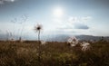 Early morning mountain meadow landscape with autumnal dry grass in the foreground. `Light and shadows playing picturesque image