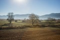 Early morning in the mountains, field and fog Royalty Free Stock Photo