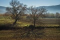 Early morning in the mountains, field and fog Royalty Free Stock Photo