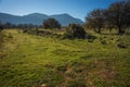 Early morning in the mountains, field and fog Royalty Free Stock Photo