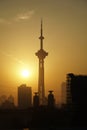 early morning in NANJING city, sunrise and the NANJING tower