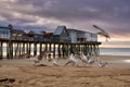 Early morning on the ocean. An old wooden pier with houses and a flock of seagulls. USA. Royalty Free Stock Photo