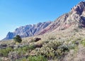 First Creek Trail, Red Rock National Conservation Area, Nevada Royalty Free Stock Photo