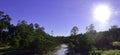 Early morning at an outback river in Central Queensland, Australia. Royalty Free Stock Photo