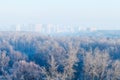 Early morning over forest and town in winter Royalty Free Stock Photo