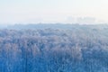 Early morning over frozen forest and city Royalty Free Stock Photo