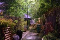 Early morning photo of an alley way behind my house in North West London. Royalty Free Stock Photo