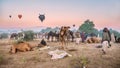 Early morning at the Pushkar Camel Fair.