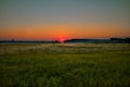 Scarlet dawn, soft colors, field, forest, sun, summer