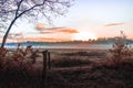 Early in the morning, rising sun with a morning mist, the dew over the heath moorland with the woods in the background. Royalty Free Stock Photo