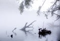 Early morning river covered with gray mist Royalty Free Stock Photo